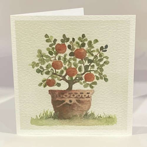 Orange tree