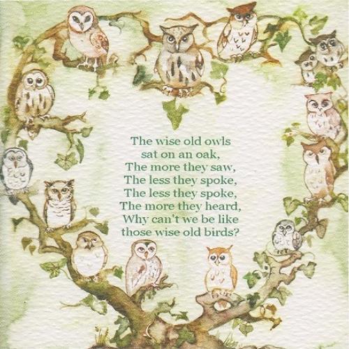 Parliament of owls
