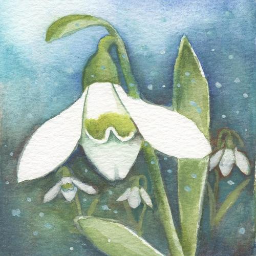 Snowdrop