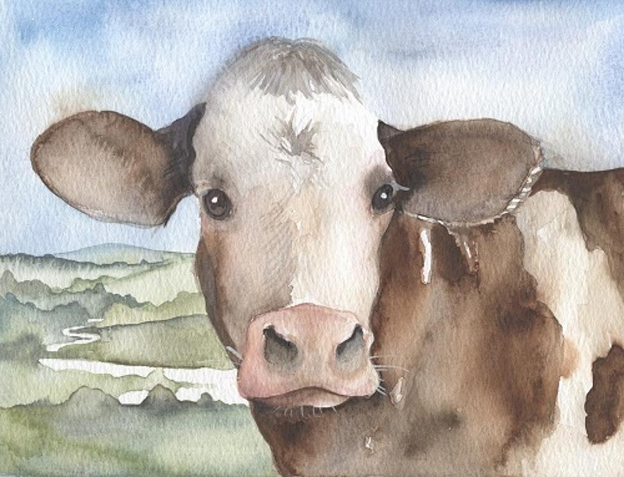 Brown & white cow