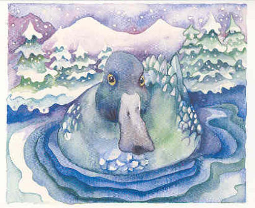 Blue duck, blue lake