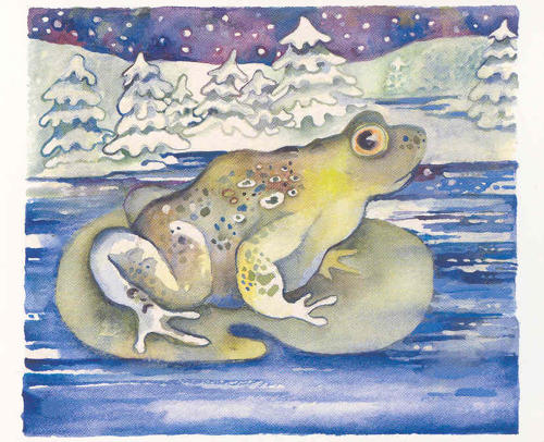 The frog who forgot to hibernate