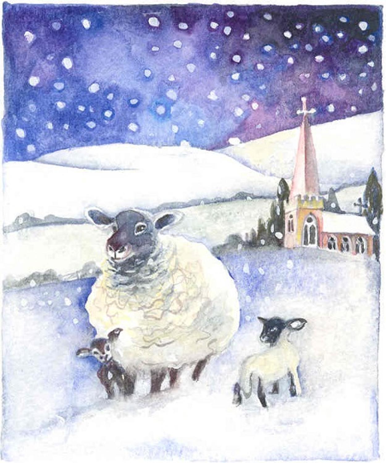 Ewe & lambs in the snow
