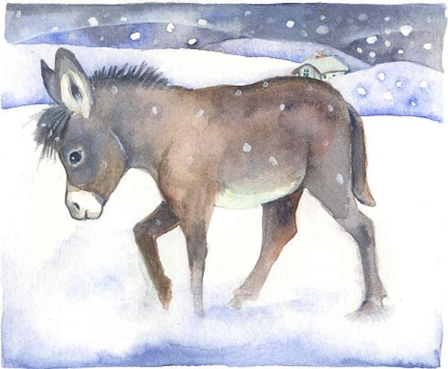 Donkey in the snow