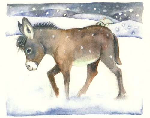 Donkey in the snow