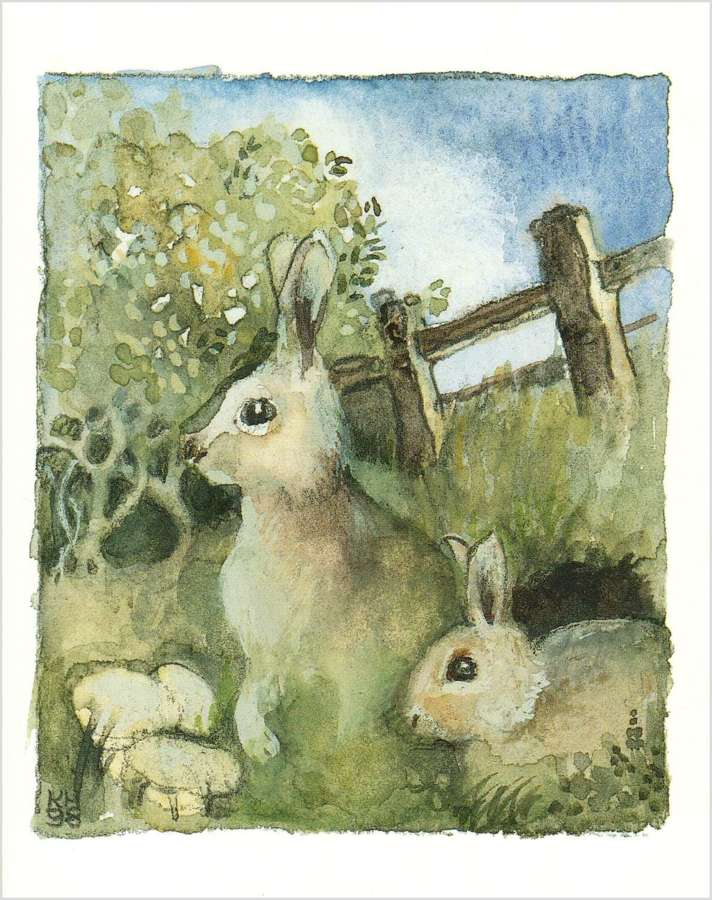 Two rabbits by their burrow
