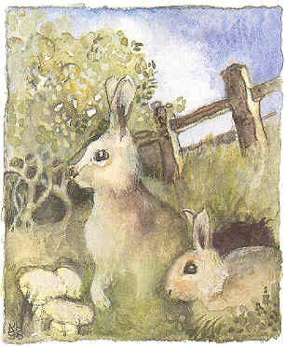 Two rabbits by their burrow