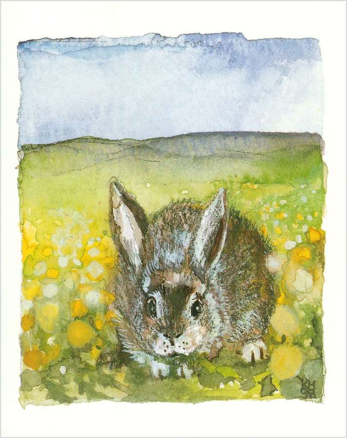 Rabbit in heaven in a field of dandelions