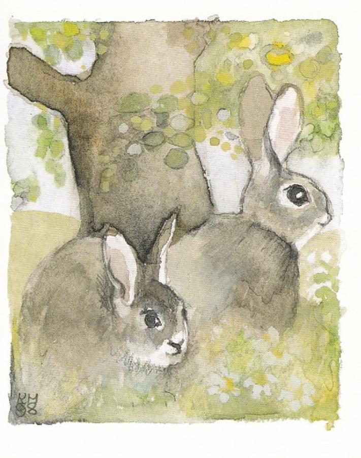 Springtime rabbits
