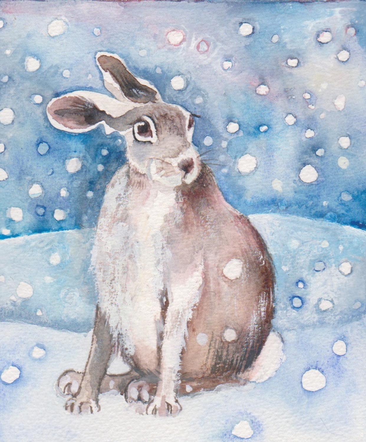 Hare in the snow
