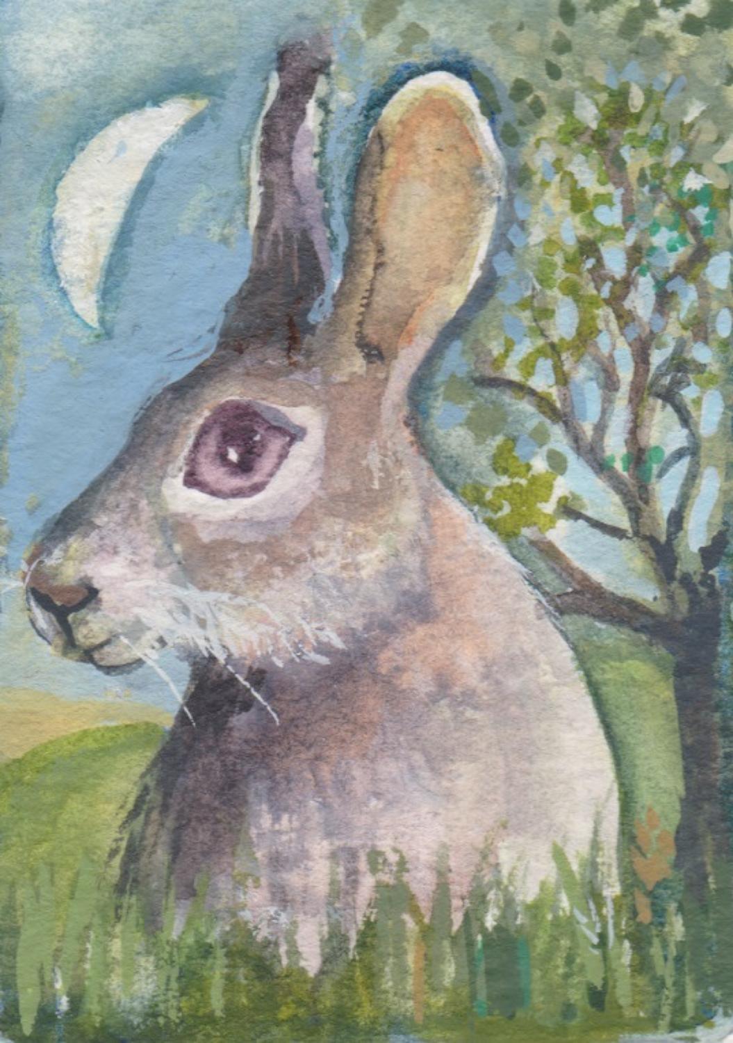 Hare in the long grass