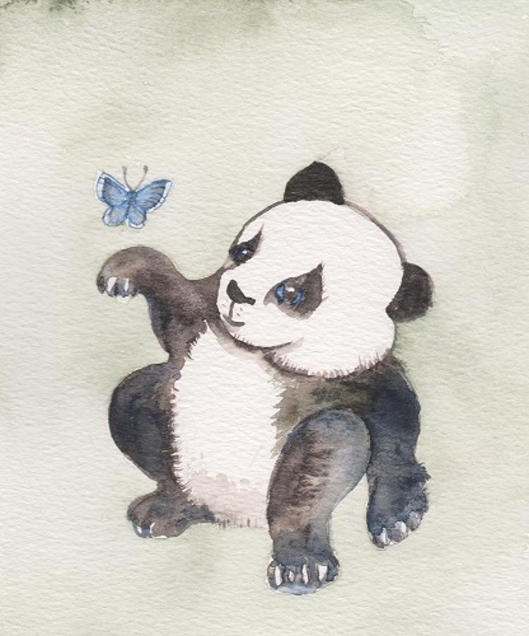 Panda & butterfly