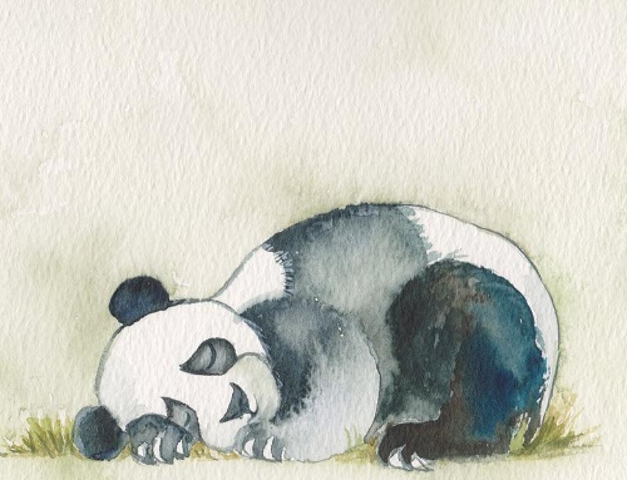 Young panda asleep