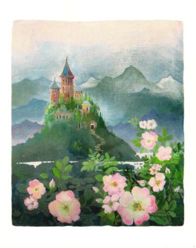 Sleeping Beauty's Castle