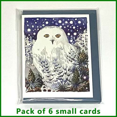 Snowy Owl
